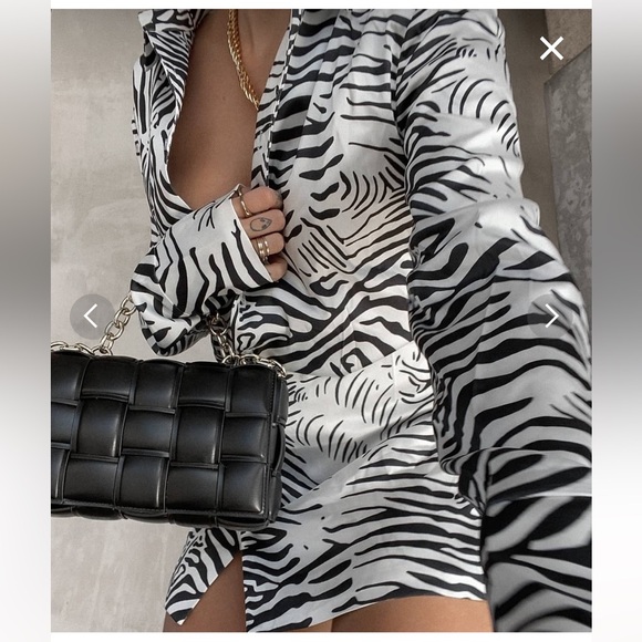 LIONESS - MIRROR IMAGE MINI DRESS IN ZEBRA - Picture 13 of 14